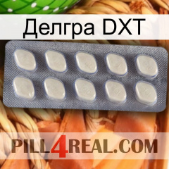 Делгра DXT 08